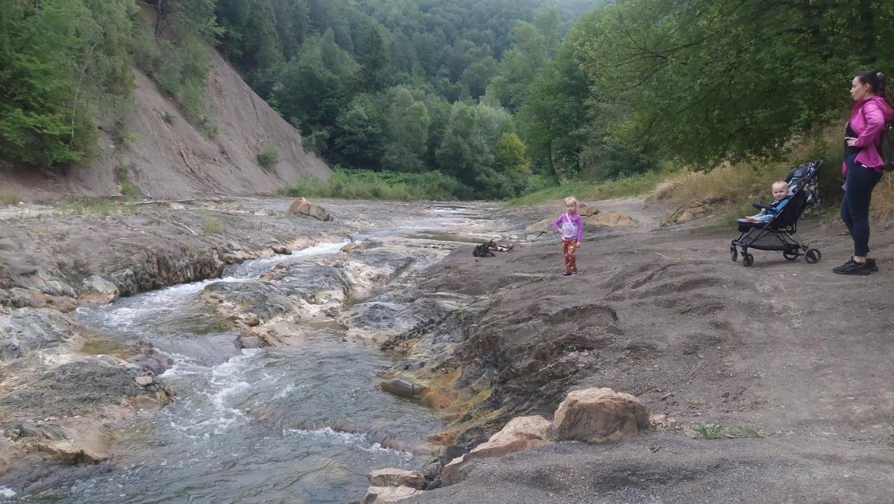 Садиба Федорчуків Гірська Хатина Sheshory Ngoại thất bức ảnh